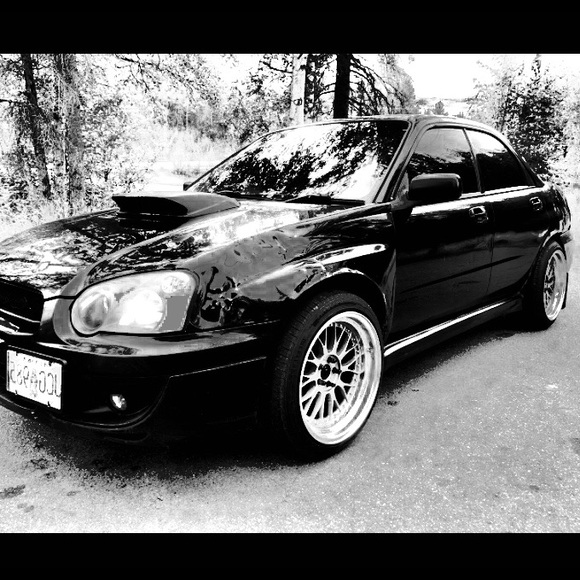 Meet your Posher, Colt - Picture 1 of 1